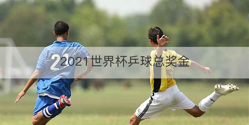 2021世界杯乒球总奖金