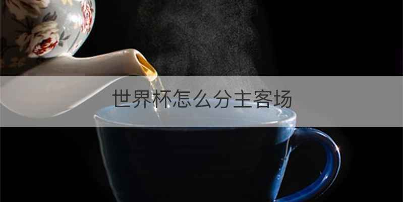 世界杯怎么分主客场