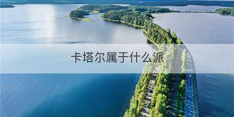 卡塔尔属于什么派