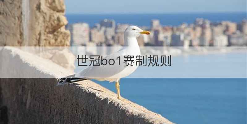 世冠bo1赛制规则