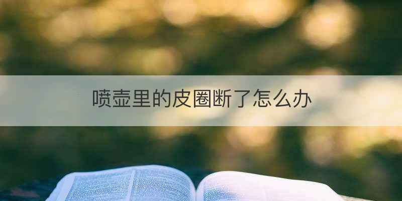 喷壶里的皮圈断了怎么办