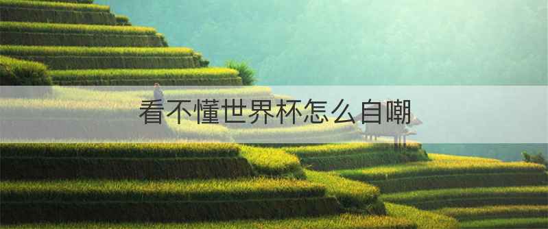 看不懂世界杯怎么自嘲