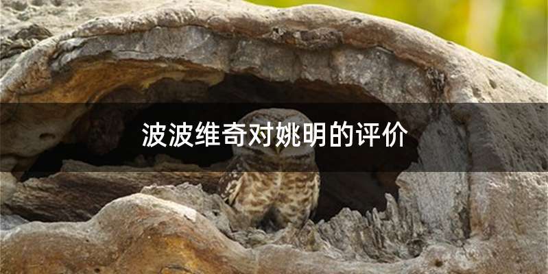 波波维奇对姚明的评价