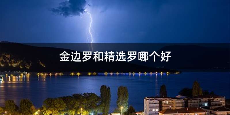 金边罗和精选罗哪个好