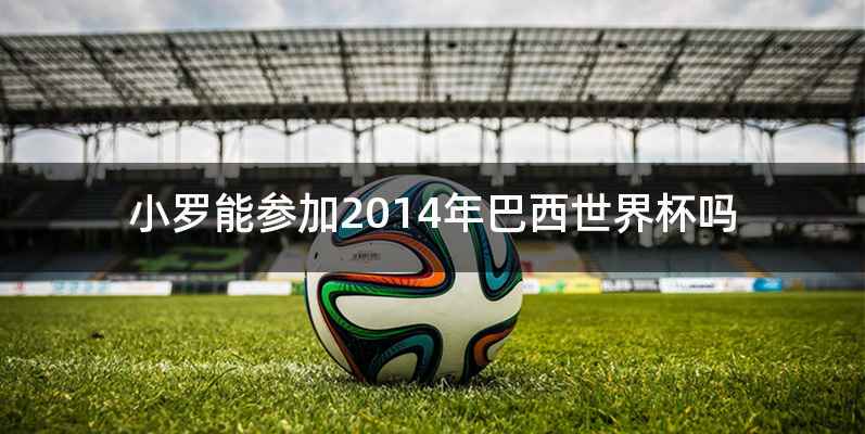 小罗能参加2014年巴西世界杯吗