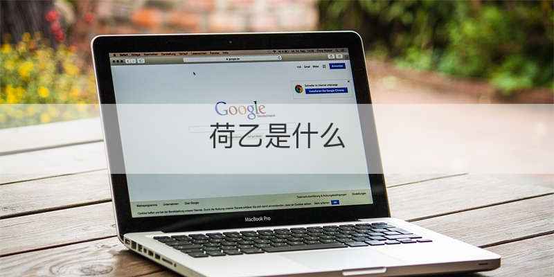 荷乙是什么