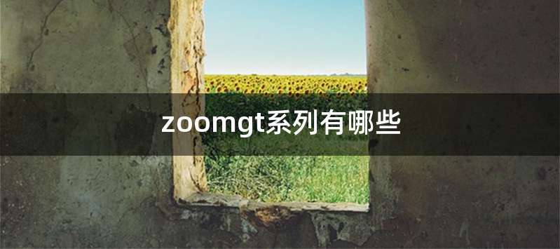 zoomgt系列有哪些
