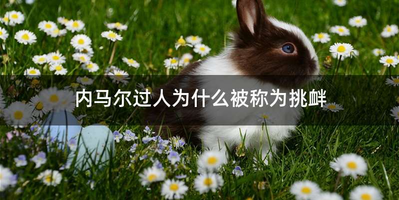 内马尔过人为什么被称为挑衅