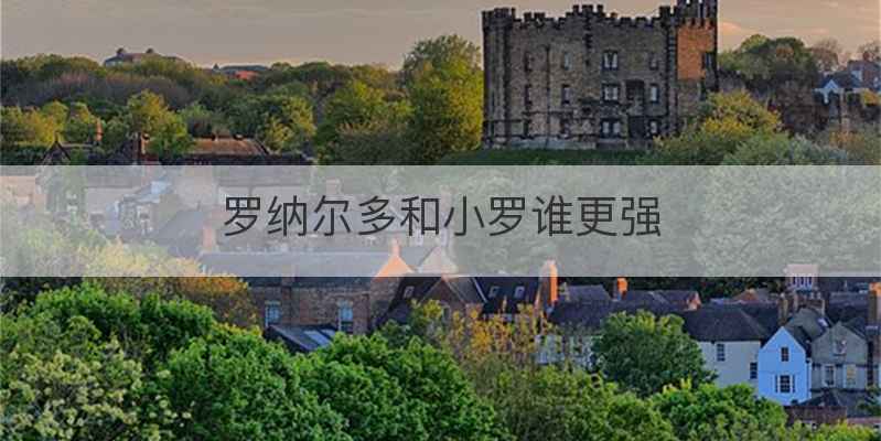 罗纳尔多和小罗谁更强