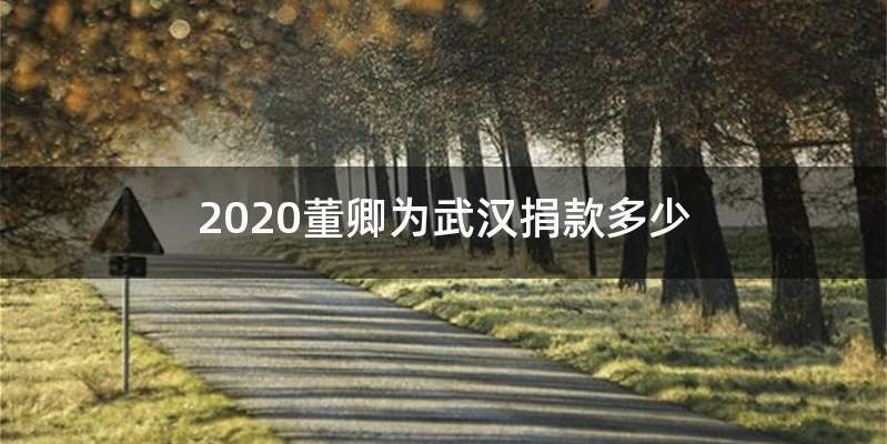 2020董卿为武汉捐款多少