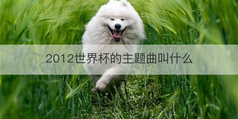 2012世界杯的主题曲叫什么