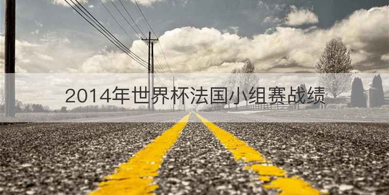 2014年世界杯法国小组赛战绩