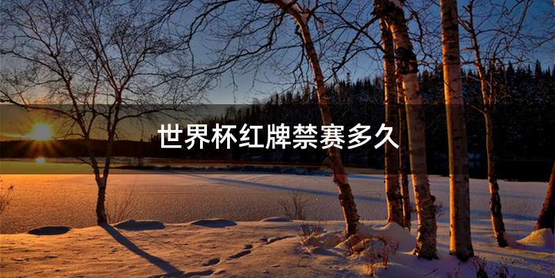 世界杯红牌禁赛多久