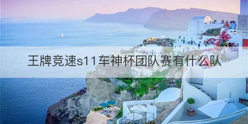 王牌竞速s11车神杯团队赛有什么队