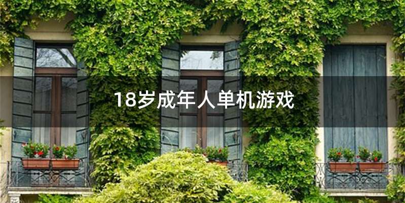 18岁成年人单机游戏