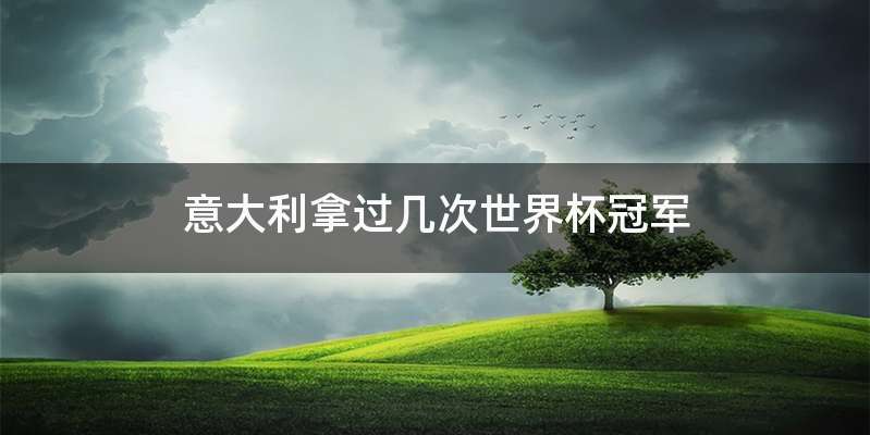 意大利拿过几次世界杯冠军