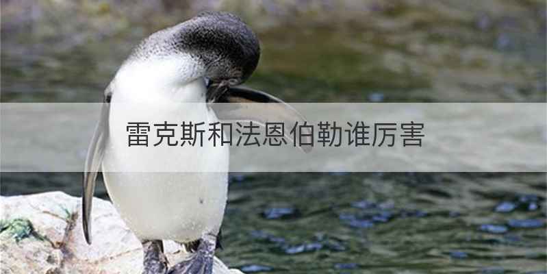 雷克斯和法恩伯勒谁厉害