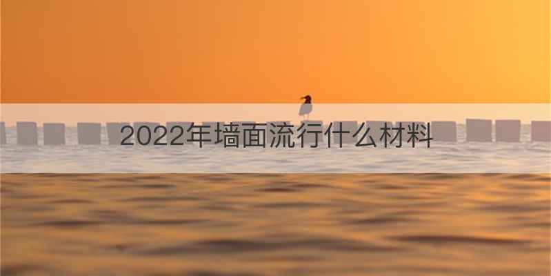 2022年墙面流行什么材料