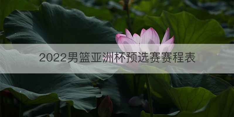 2022男篮亚洲杯预选赛赛程表