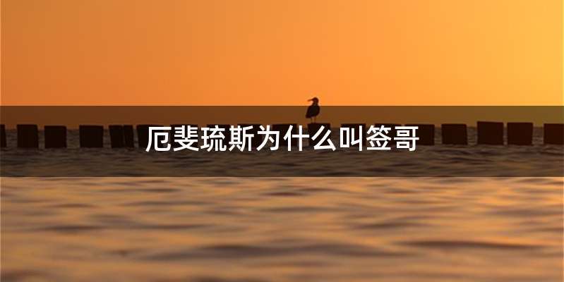 厄斐琉斯为什么叫签哥