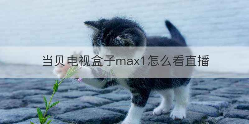 当贝电视盒子max1怎么看直播