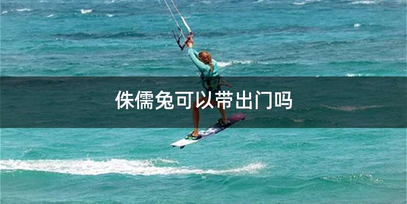 侏儒兔可以带出门吗