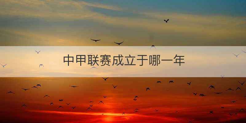 中甲联赛成立于哪一年