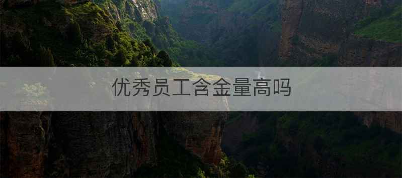 优秀员工含金量高吗