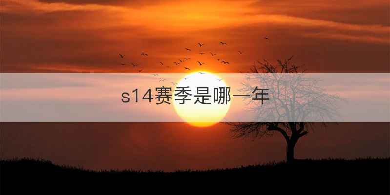 s14赛季是哪一年