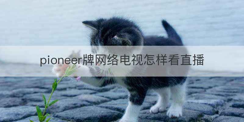 pioneer牌网络电视怎样看直播