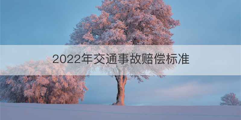 2022年交通事故赔偿标准