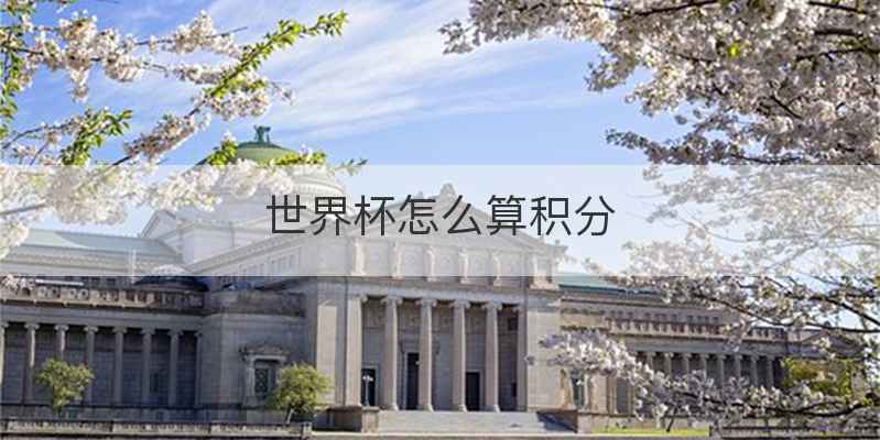 世界杯怎么算积分