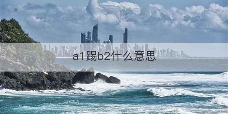 a1踢b2什么意思