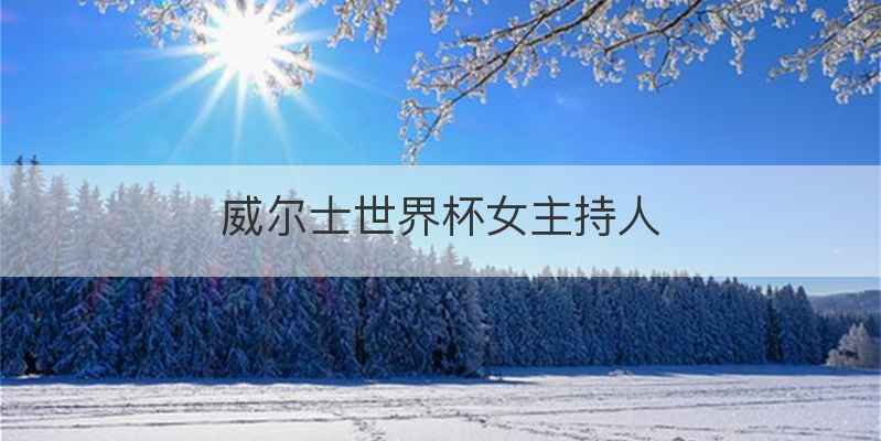 威尔士世界杯女主持人