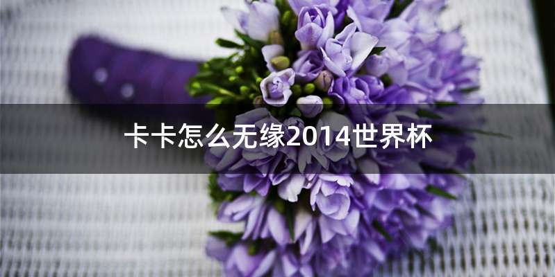 卡卡怎么无缘2014世界杯