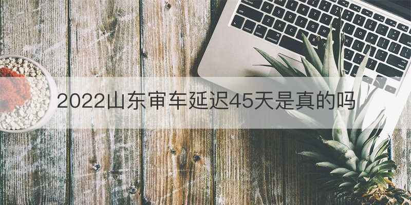2022山东审车延迟45天是真的吗