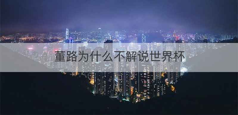 董路为什么不解说世界杯