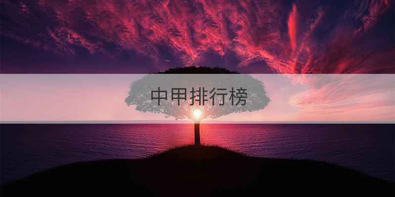 中甲排行榜