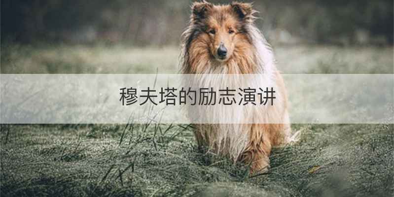 穆夫塔的励志演讲
