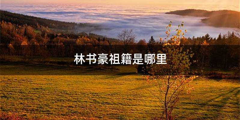 林书豪祖籍是哪里