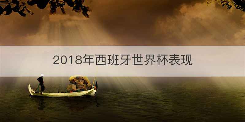 2018年西班牙世界杯表现