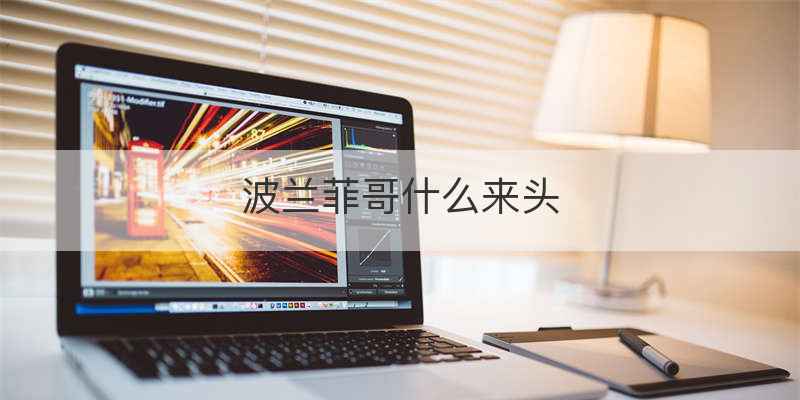 波兰菲哥什么来头