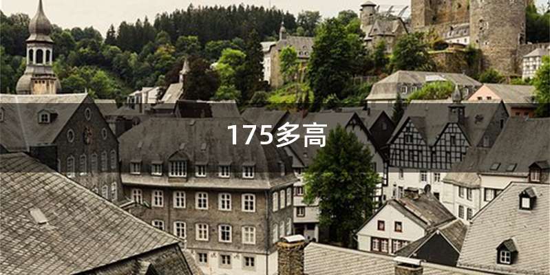 175多高