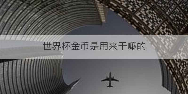 世界杯金币是用来干嘛的