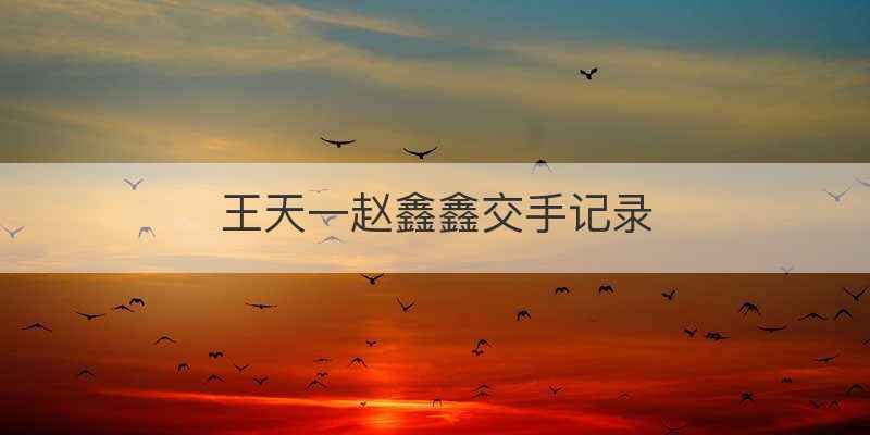 王天一赵鑫鑫交手记录