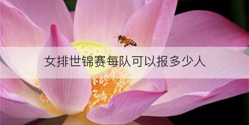 女排世锦赛每队可以报多少人