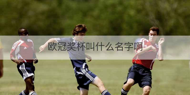 欧冠奖杯叫什么名字啊