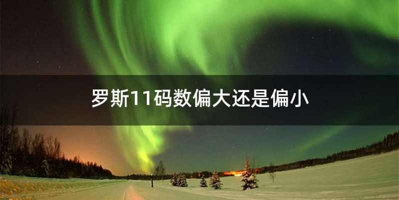 罗斯11码数偏大还是偏小