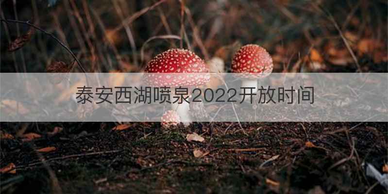 泰安西湖喷泉2022开放时间