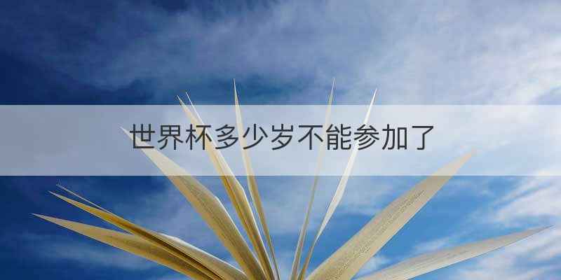 世界杯多少岁不能参加了